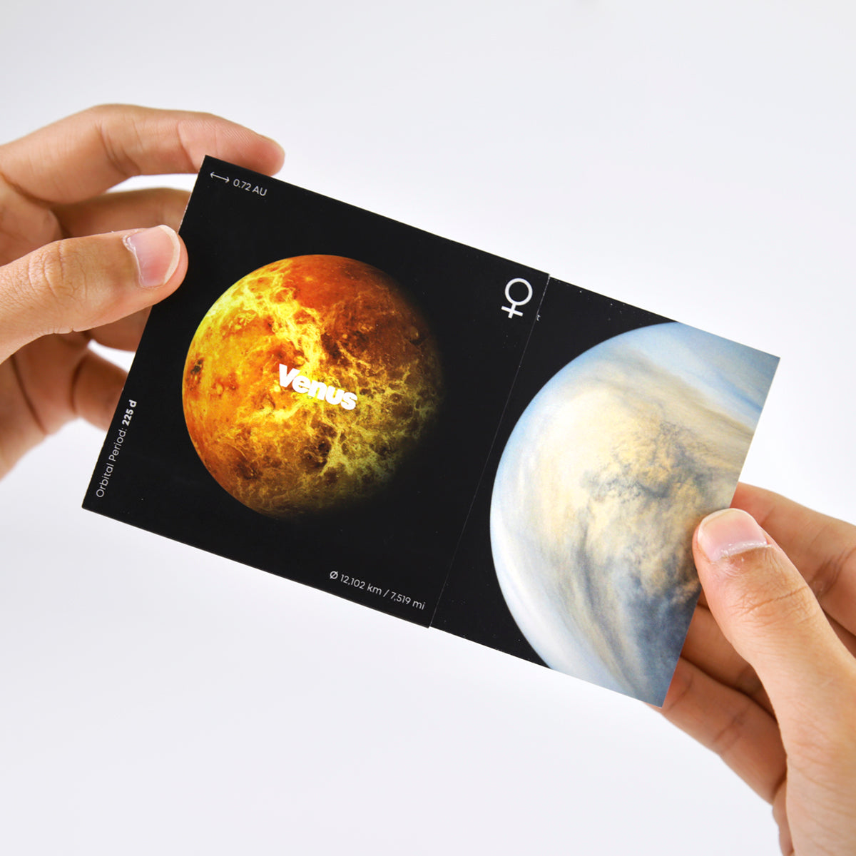 VENUS FLIPBOOK